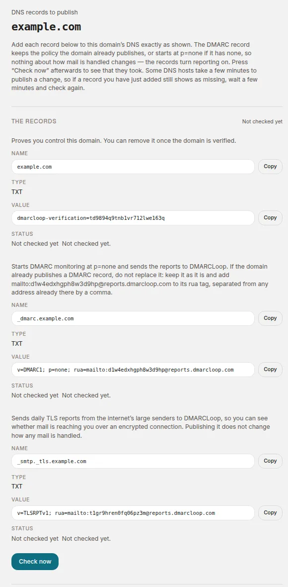 The read-only records page for example.com, with its Check now button